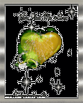 pic for love forever